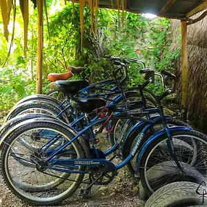 Gasthof Guarumbo, Bacalar